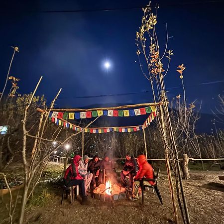 Basecamp Manali Hostel Exterior photo
