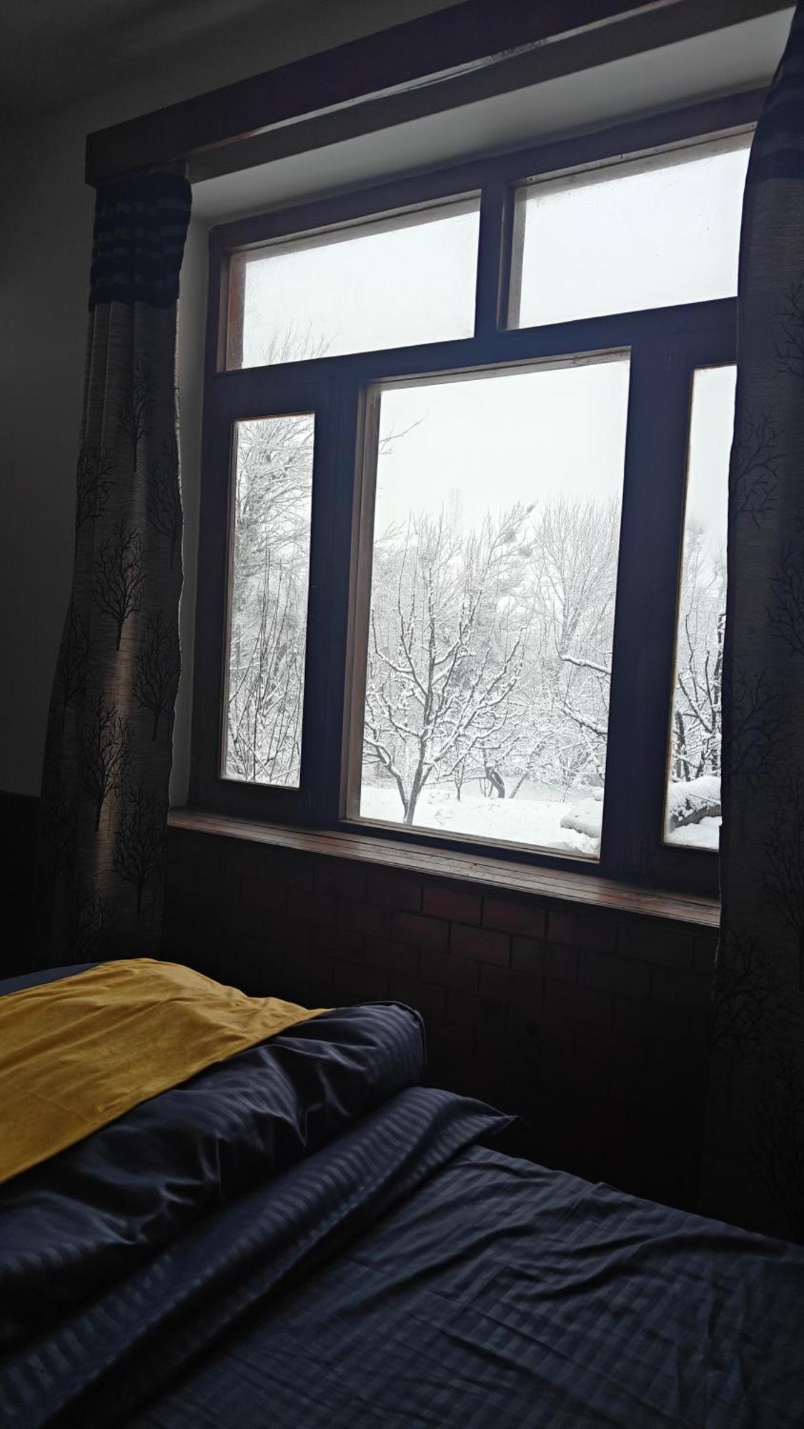 Basecamp Manali Hostel Room photo